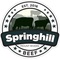 Springhill avatar