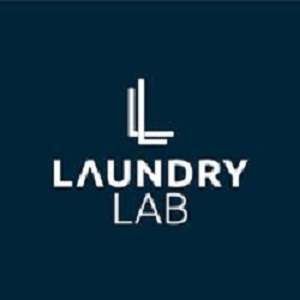 laundry avatar