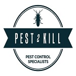 Pest avatar